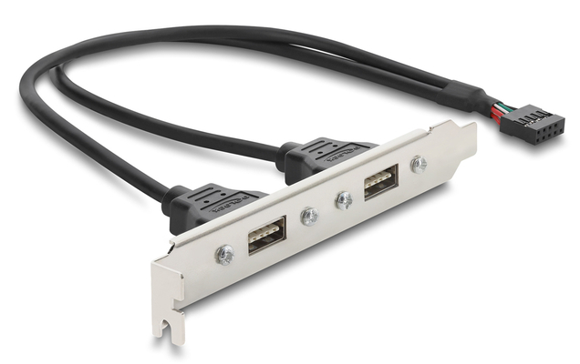 DELOCK κάρτα επέκτασης USB 9pin σε 2x USB 2.0 91800, 480Mbps