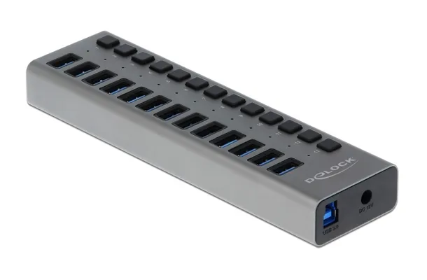 DELOCK USB hub 63738 με διακόπτες, 13x θυρών, 5Gbps, γκρι