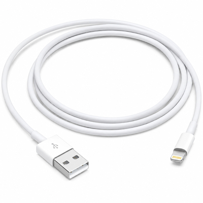 Καλώδιο Σύνδεσης Apple USB-A σε Lightning 2.0 45W MUQW3ZM/A 1m Λευκό