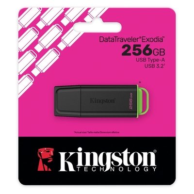 Kingston Flash Drive DataTraveler Exodia Gen 1 256GB USB 3.2 DTXG2/256