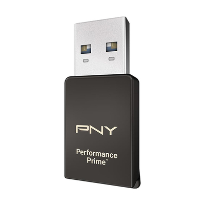 PNY PNY P-CRUAUSDDG3CPPR-GE