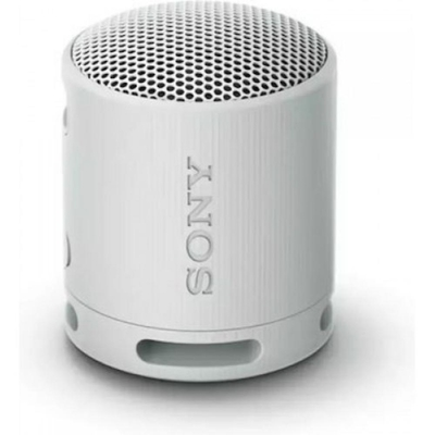 Sony SRS-XB100 Speaker Wirless Bluetooth Grey (SRSXB100H) (SNYSRSXB100H)