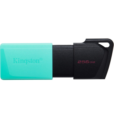 USB 3.2 Kingston Flash Drive Exodia M 256GB DTXM/256GB